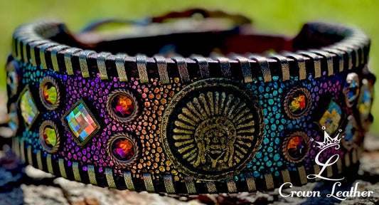 Rainbow Stingray & Bronze Whipstitch Dog Collar 16"-19" image 1