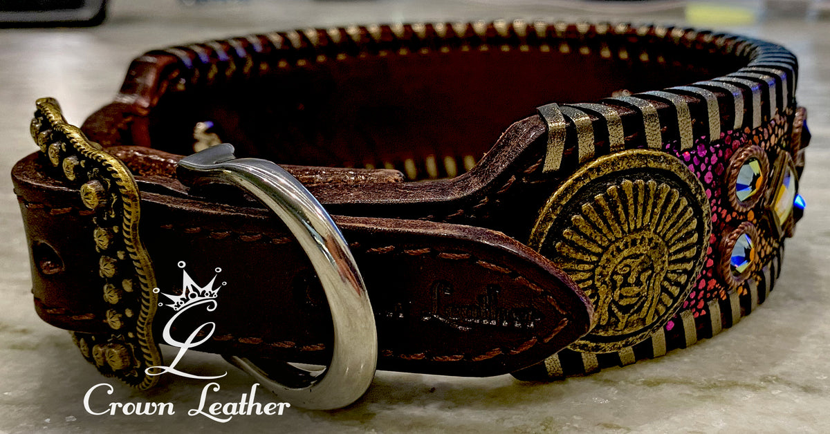 Rainbow Stingray & Bronze Whipstitch Dog Collar 16"-19" image 2